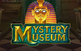 Mystery Museum